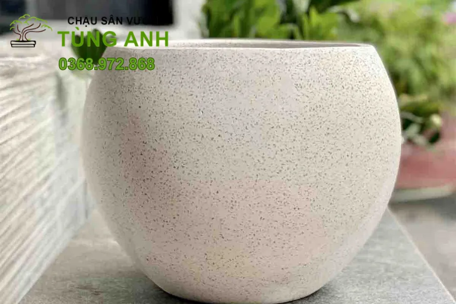 Xưởng Chậu Xi Măng Nhẹ Sơn Wax Đẹp, Bền tại Hưng Yên 18 Thiết kế tinh tế của chậu xi măng nhẹ Sơn Wax