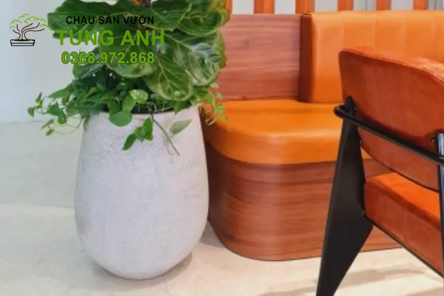Xưởng Chậu Xi Măng Nhẹ Sơn Wax Đẹp, Bền tại Hưng Yên 19 Phối cảnh ban công hiện đại với bầu xi măng nhẹ nhàng