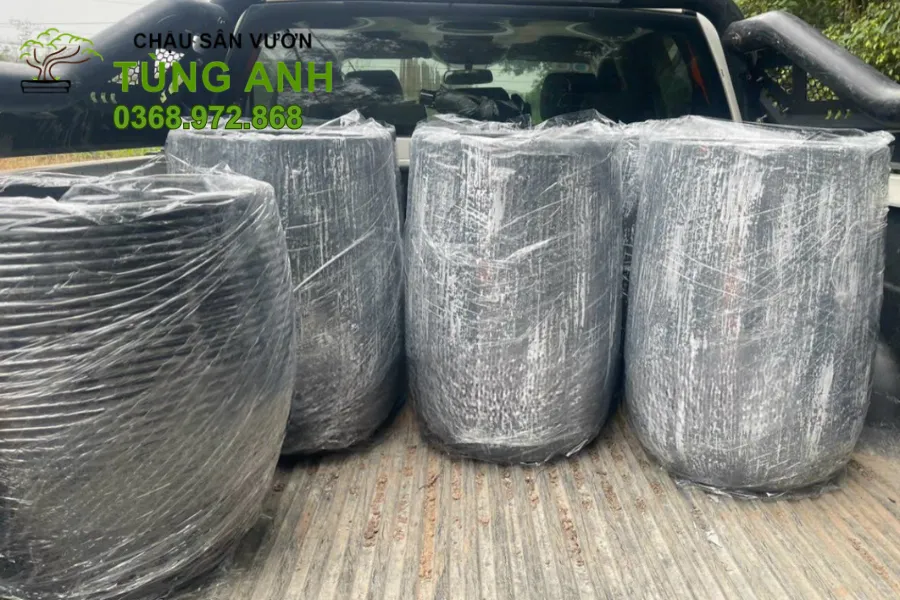 Xưởng Chậu Xi Măng Nhẹ Sơn Wax Đẹp, Bền tại Hưng Yên 20 Bộ sưu tập chậu xi măng nhẹ nhàng phù hợp mọi không gian