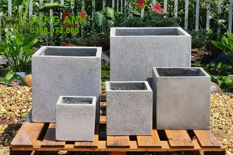 Thiết kế tinh tế từ chậu xi măng đá mài dáng vuông
