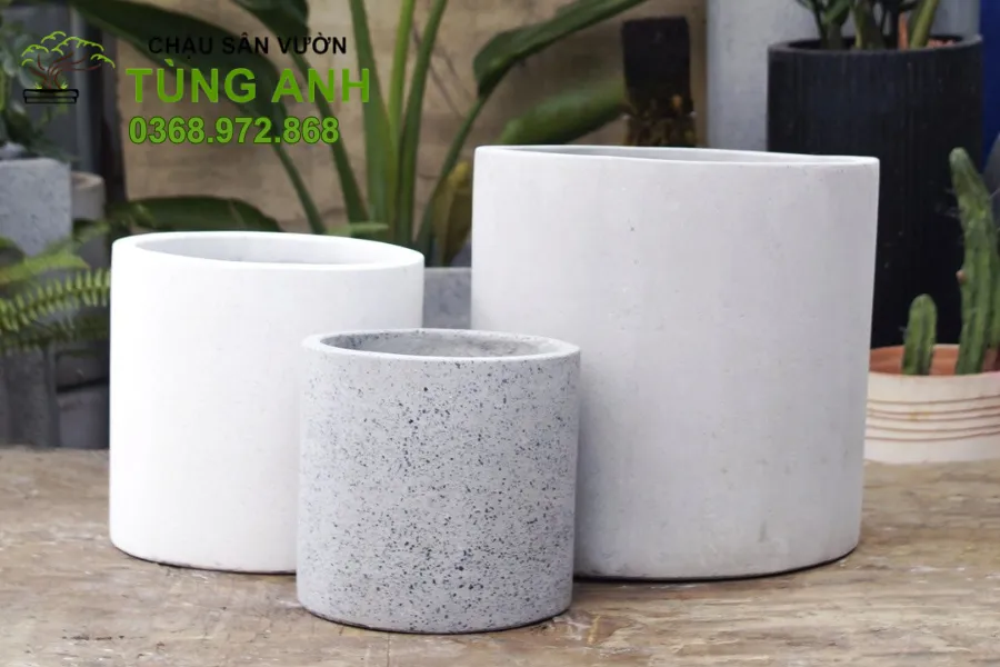 Chậu xi măng đá mài nhẹ – tiện lợi và bền chắc