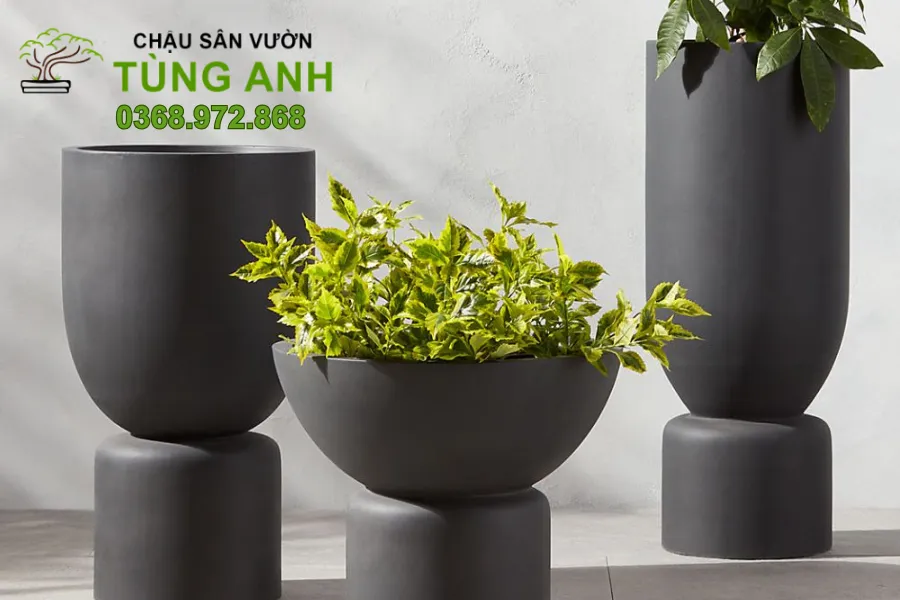 Bề mặt mài nhẵn – Vẻ sang trọng của chậu xi măng đá mài