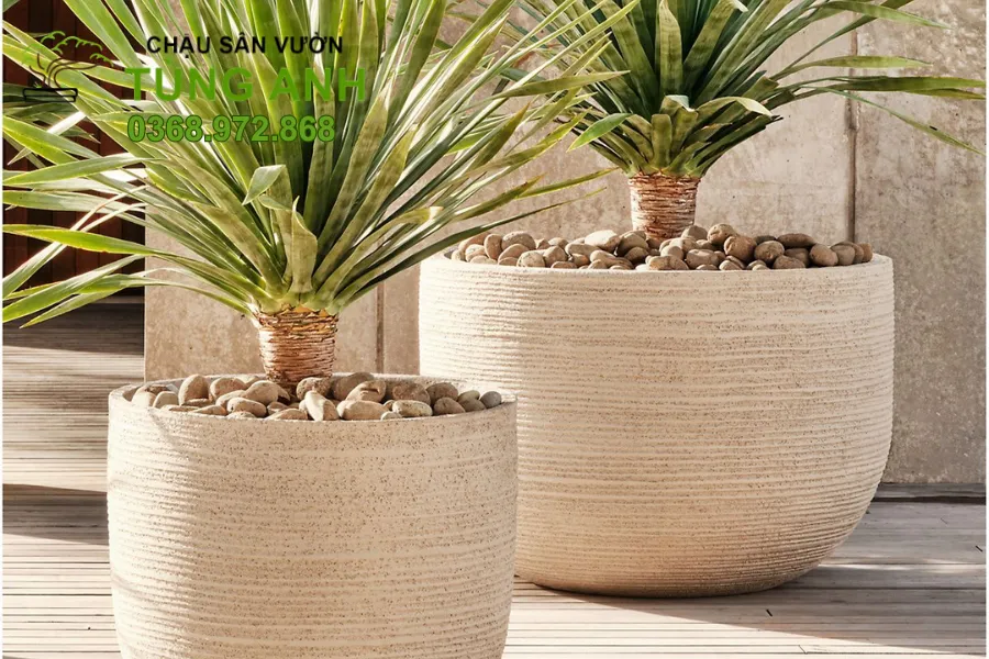 Mẫu chậu xi măng đá mài đẹp cho sân thượng thoáng mát