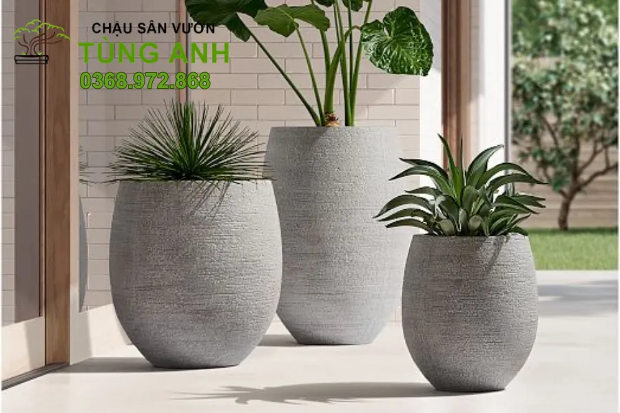 Vẻ đẹp mộc mạc từ chậu xi măng đá mài thủ công