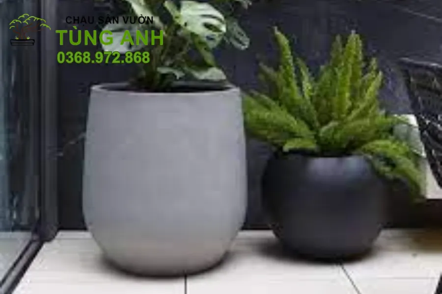 Chậu xi măng đá mài - Bền bỉ với thời gian.