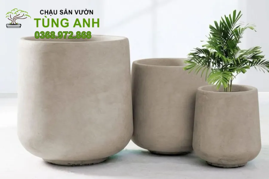 Sân vườn biệt thự nổi bật với chậu xi măng đá mài