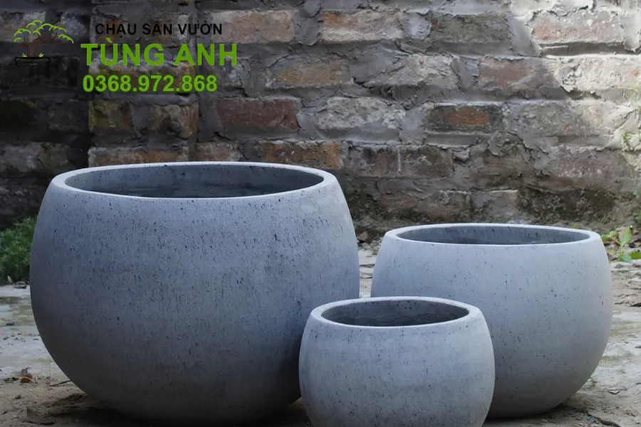 Chậu xi măng - Linh hoạt cho mọi không gian.